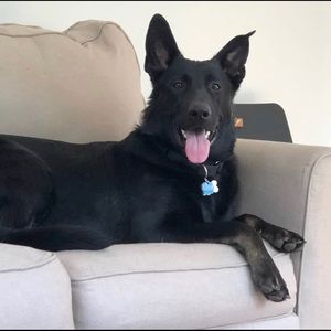 Meet your Posher, Kyle